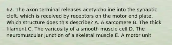 62. The axon terminal releases acetylcholine into the synaptic cleft, which is received by receptors on the motor end plate. Which structure does this describe? A. A sarcomere B. The thick filament C. The varicosity of a smooth muscle cell D. The neuromuscular junction of a skeletal muscle E. A motor unit