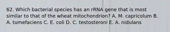 62. Which bacterial species has an rRNA gene that is most similar to that of the wheat mitochondrion? A. M. capricolum B. A. tumefaciens C. E. coli D. C. testosteroni E. A. nidulans