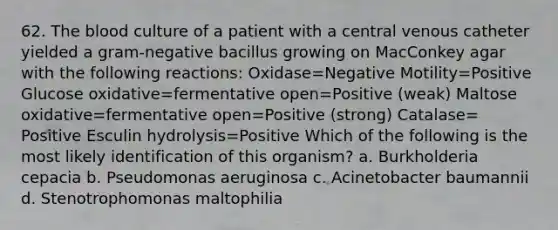 62. <a href='https://www.questionai.com/knowledge/k7oXMfj7lk-the-blood' class='anchor-knowledge'>the blood</a> culture of a patient with a central venous catheter yielded a gram-negative bacillus growing on MacConkey agar with the following reactions: Oxidase=Negative Motility=Positive Glucose oxidative=fermentative open=Positive (weak) Maltose oxidative=fermentative open=Positive (strong) Catalase= Positive Esculin hydrolysis=Positive Which of the following is the most likely identification of this organism? a. Burkholderia cepacia b. Pseudomonas aeruginosa c. Acinetobacter baumannii d. Stenotrophomonas maltophilia