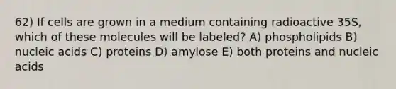 62) If cells are grown in a medium containing radioactive 35S, which of these molecules will be labeled? A) phospholipids B) nucleic acids C) proteins D) amylose E) both proteins and nucleic acids