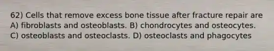 62) Cells that remove excess bone tissue after fracture repair are A) fibroblasts and osteoblasts. B) chondrocytes and osteocytes. C) osteoblasts and osteoclasts. D) osteoclasts and phagocytes