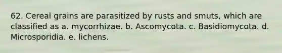 62. Cereal grains are parasitized by rusts and smuts, which are classified as a. mycorrhizae. b. Ascomycota. c. Basidiomycota. d. Microsporidia. e. lichens.