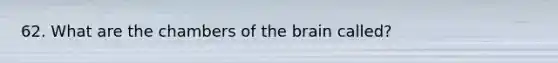 62. What are the chambers of <a href='https://www.questionai.com/knowledge/kLMtJeqKp6-the-brain' class='anchor-knowledge'>the brain</a> called?