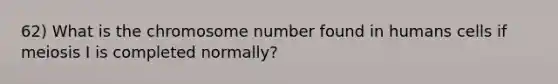 62) What is the chromosome number found in humans cells if meiosis I is completed normally?