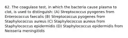 62. The coagulase test, in which the bacteria cause plasma to clot, is used to distinguish: (A) Streptococcus pyogenes from Enterococcus faecalis (B) Streptococcus pyogenes from Staphylococcus aureus (C) Staphylococcus aureus from Staphylococcus epidermidis (D) Staphylococcus epidermidis from Neisseria meningitidis