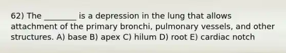 62) The ________ is a depression in the lung that allows attachment of the primary bronchi, pulmonary vessels, and other structures. A) base B) apex C) hilum D) root E) cardiac notch