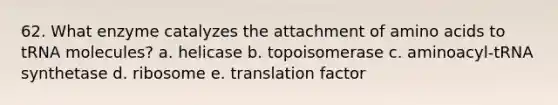 62. What enzyme catalyzes the attachment of amino acids to tRNA molecules? a. helicase b. topoisomerase c. aminoacyl-tRNA synthetase d. ribosome e. translation factor