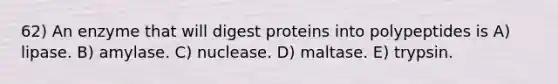 62) An enzyme that will digest proteins into polypeptides is A) lipase. B) amylase. C) nuclease. D) maltase. E) trypsin.