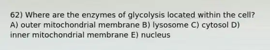 62) Where are the enzymes of glycolysis located within the cell? A) outer mitochondrial membrane B) lysosome C) cytosol D) inner mitochondrial membrane E) nucleus