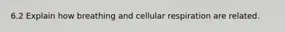 6.2 Explain how breathing and cellular respiration are related.