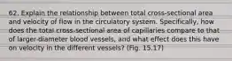 62. Explain the relationship between total cross-sectional area and velocity of flow in the circulatory system. Specifically, how does the total cross-sectional area of capillaries compare to that of larger-diameter blood vessels, and what effect does this have on velocity in the different vessels? (Fig. 15.17)