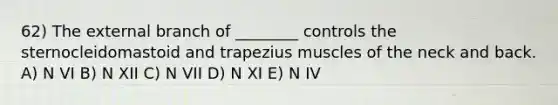 62) The external branch of ________ controls the sternocleidomastoid and trapezius muscles of the neck and back. A) N VI B) N XII C) N VII D) N XI E) N IV