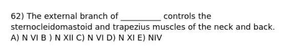 62) The external branch of __________ controls the sternocleidomastoid and trapezius muscles of the neck and back. A) N VI B ) N XII C) N VI D) N XI E) NIV