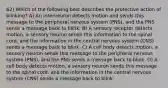 62) Which of the following best describes the protective action of blinking? A) An interneuron detects motion and sends this message to the peripheral nervous system (PNS), and the PNS sends a message back to blink. B) A sensory receptor detects motion, a sensory neuron sends this information to the spinal cord, and the information in the central nervous system (CNS) sends a message back to blink. C) A cell body detects motion, a sensory neuron sends this message to the peripheral nervous system (PNS), and the PNS sends a message back to blink. D) A cell body detects motion, a sensory neuron sends this message to the spinal cord, and the information in the central nervous system (CNS) sends a message back to blink.