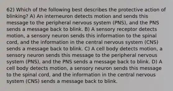 62) Which of the following best describes the protective action of blinking? A) An interneuron detects motion and sends this message to the peripheral nervous system (PNS), and the PNS sends a message back to blink. B) A sensory receptor detects motion, a sensory neuron sends this information to the spinal cord, and the information in the central nervous system (CNS) sends a message back to blink. C) A cell body detects motion, a sensory neuron sends this message to the peripheral nervous system (PNS), and the PNS sends a message back to blink. D) A cell body detects motion, a sensory neuron sends this message to the spinal cord, and the information in the central nervous system (CNS) sends a message back to blink.