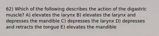 62) Which of the following describes the action of the digastric muscle? A) elevates the larynx B) elevates the larynx and depresses the mandible C) depresses the larynx D) depresses and retracts the tongue E) elevates the mandible