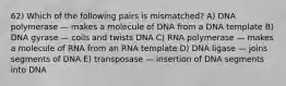 62) Which of the following pairs is mismatched? A) DNA polymerase — makes a molecule of DNA from a DNA template B) DNA gyrase — coils and twists DNA C) RNA polymerase — makes a molecule of RNA from an RNA template D) DNA ligase — joins segments of DNA E) transposase — insertion of DNA segments into DNA