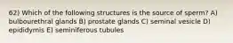 62) Which of the following structures is the source of sperm? A) bulbourethral glands B) prostate glands C) seminal vesicle D) epididymis E) seminiferous tubules