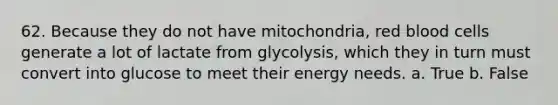 62. Because they do not have mitochondria, red blood cells generate a lot of lactate from glycolysis, which they in turn must convert into glucose to meet their energy needs. a. True b. False