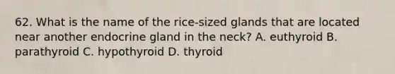 62. What is the name of the rice-sized glands that are located near another endocrine gland in the neck? A. euthyroid B. parathyroid C. hypothyroid D. thyroid