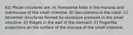 62) Plicae circulares are: A) Transverse folds in the mucosa and submucosa of the small intestine. B) Sacculations in the colon. C) Abnormal structures formed by excessive pressure in the small intestine. D) Ridges in the wall of the stomach. E) Fingerlike projections on the surface of the mucosa of the small intestine.