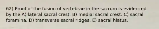 62) Proof of the fusion of vertebrae in the sacrum is evidenced by the A) lateral sacral crest. B) medial sacral crest. C) sacral foramina. D) transverse sacral ridges. E) sacral hiatus.