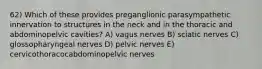 62) Which of these provides preganglionic parasympathetic innervation to structures in the neck and in the thoracic and abdominopelvic cavities? A) vagus nerves B) sciatic nerves C) glossopharyngeal nerves D) pelvic nerves E) cervicothoracocabdominopelvic nerves