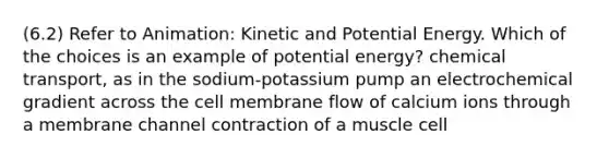 (6.2) Refer to Animation: Kinetic and Potential Energy. Which of the choices is an example of potential energy? chemical transport, as in the sodium-potassium pump an electrochemical gradient across the cell membrane flow of calcium ions through a membrane channel contraction of a muscle cell