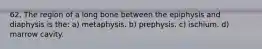 62. The region of a long bone between the epiphysis and diaphysis is the: a) metaphysis. b) prephysis. c) ischium. d) marrow cavity.