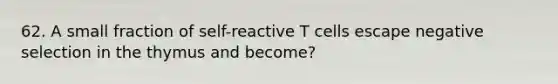 62. A small fraction of self-reactive T cells escape negative selection in the thymus and become?