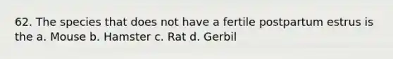 62. The species that does not have a fertile postpartum estrus is the a. Mouse b. Hamster c. Rat d. Gerbil