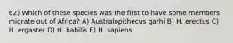 62) Which of these species was the first to have some members migrate out of Africa? A) Australopithecus garhi B) H. erectus C) H. ergaster D) H. habilis E) H. sapiens