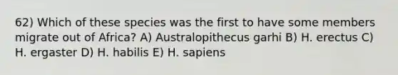 62) Which of these species was the first to have some members migrate out of Africa? A) Australopithecus garhi B) H. erectus C) H. ergaster D) H. habilis E) H. sapiens