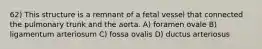 62) This structure is a remnant of a fetal vessel that connected the pulmonary trunk and the aorta. A) foramen ovale B) ligamentum arteriosum C) fossa ovalis D) ductus arteriosus