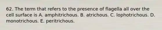 62. The term that refers to the presence of flagella all over the cell surface is A. amphitrichous. B. atrichous. C. lophotrichous. D. monotrichous. E. peritrichous.