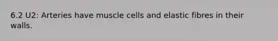 6.2 U2: Arteries have muscle cells and elastic fibres in their walls.