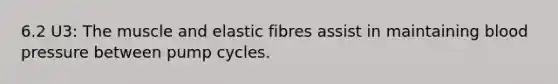 6.2 U3: The muscle and elastic fibres assist in maintaining <a href='https://www.questionai.com/knowledge/kD0HacyPBr-blood-pressure' class='anchor-knowledge'>blood pressure</a> between pump cycles.