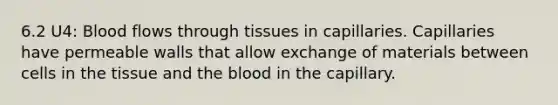 6.2 U4: Blood flows through tissues in capillaries. Capillaries have permeable walls that allow exchange of materials between cells in the tissue and <a href='https://www.questionai.com/knowledge/k7oXMfj7lk-the-blood' class='anchor-knowledge'>the blood</a> in the capillary.