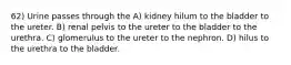 62) Urine passes through the A) kidney hilum to the bladder to the ureter. B) renal pelvis to the ureter to the bladder to the urethra. C) glomerulus to the ureter to the nephron. D) hilus to the urethra to the bladder.