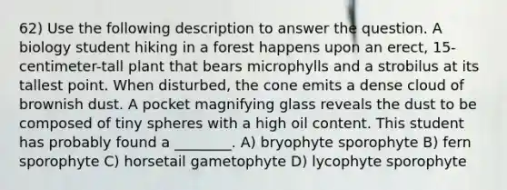 62) Use the following description to answer the question. A biology student hiking in a forest happens upon an erect, 15-centimeter-tall plant that bears microphylls and a strobilus at its tallest point. When disturbed, the cone emits a dense cloud of brownish dust. A pocket magnifying glass reveals the dust to be composed of tiny spheres with a high oil content. This student has probably found a ________. A) bryophyte sporophyte B) fern sporophyte C) horsetail gametophyte D) lycophyte sporophyte