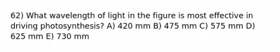 62) What wavelength of light in the figure is most effective in driving photosynthesis? A) 420 mm B) 475 mm C) 575 mm D) 625 mm E) 730 mm