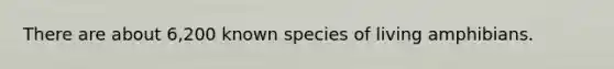 There are about 6,200 known species of living amphibians.