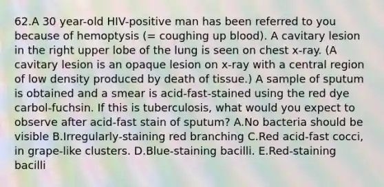 62.A 30 year-old HIV-positive man has been referred to you because of hemoptysis (= coughing up blood). A cavitary lesion in the right upper lobe of the lung is seen on chest x-ray. (A cavitary lesion is an opaque lesion on x-ray with a central region of low density produced by death of tissue.) A sample of sputum is obtained and a smear is acid-fast-stained using the red dye carbol-fuchsin. If this is tuberculosis, what would you expect to observe after acid-fast stain of sputum? A.No bacteria should be visible B.Irregularly-staining red branching C.Red acid-fast cocci, in grape-like clusters. D.Blue-staining bacilli. E.Red-staining bacilli