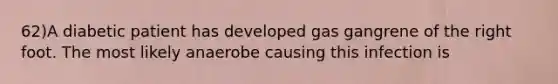 62)A diabetic patient has developed gas gangrene of the right foot. The most likely anaerobe causing this infection is
