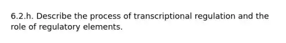 6.2.h. Describe the process of transcriptional regulation and the role of regulatory elements.