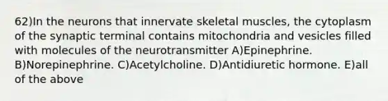 62)In the neurons that innervate skeletal muscles, the cytoplasm of the synaptic terminal contains mitochondria and vesicles filled with molecules of the neurotransmitter A)Epinephrine. B)Norepinephrine. C)Acetylcholine. D)Antidiuretic hormone. E)all of the above