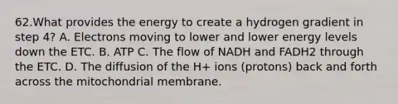 62.What provides the energy to create a hydrogen gradient in step 4? A. Electrons moving to lower and lower energy levels down the ETC. B. ATP C. The flow of NADH and FADH2 through the ETC. D. The diffusion of the H+ ions (protons) back and forth across the mitochondrial membrane.