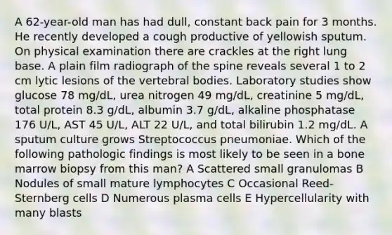 A 62-year-old man has had dull, constant back pain for 3 months. He recently developed a cough productive of yellowish sputum. On physical examination there are crackles at the right lung base. A plain film radiograph of the spine reveals several 1 to 2 cm lytic lesions of the vertebral bodies. Laboratory studies show glucose 78 mg/dL, urea nitrogen 49 mg/dL, creatinine 5 mg/dL, total protein 8.3 g/dL, albumin 3.7 g/dL, alkaline phosphatase 176 U/L, AST 45 U/L, ALT 22 U/L, and total bilirubin 1.2 mg/dL. A sputum culture grows Streptococcus pneumoniae. Which of the following pathologic findings is most likely to be seen in a bone marrow biopsy from this man? A Scattered small granulomas B Nodules of small mature lymphocytes C Occasional Reed-Sternberg cells D Numerous plasma cells E Hypercellularity with many blasts