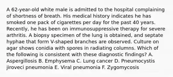 A 62-year-old white male is admitted to the hospital complaining of shortness of breath. His medical history indicates he has smoked one pack of cigarettes per day for the past 40 years. Recently, he has been on immunosuppressive therapy for severe arthritis. A biopsy specimen of the lung is obtained, and septate hyphae that form V-shaped branches are observed. Culture on agar shows conidia with spores in radiating columns. Which of the following is consistent with these diagnostic findings? A. Aspergillosis B. Emphysema C. Lung cancer D. Pneumocystis jiroveci pneumonia E. Viral pneumonia F. Zygomycosis