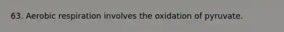 63. Aerobic respiration involves the oxidation of pyruvate.